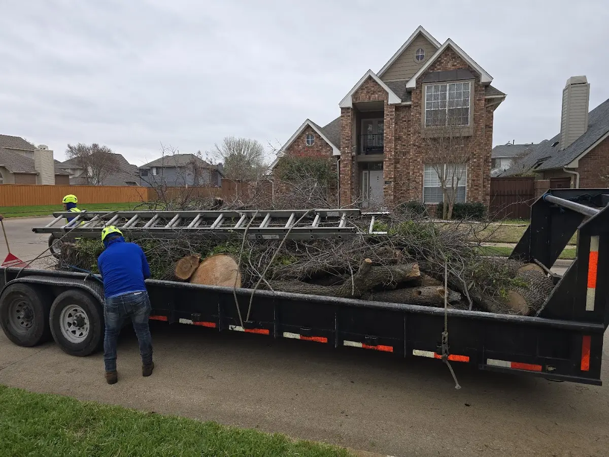 Expert Tree Removal with proper safety equipment in Strawn